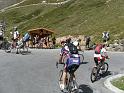 STELVIO 2011 (9)
